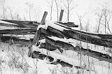 Snowy Old Fence_11565